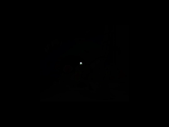 zelda/loading screenshot