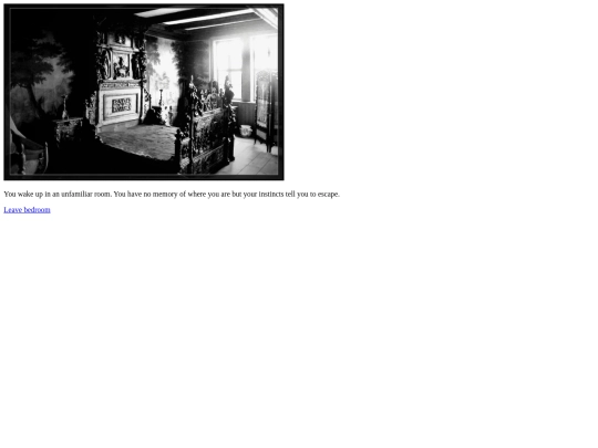 room2 screenshot