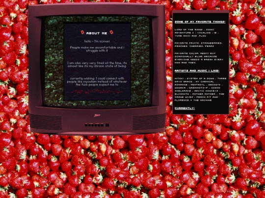 webmaster screenshot