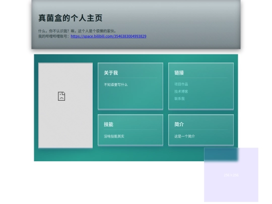 home screenshot