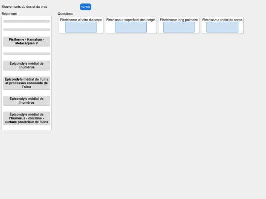 muscles/avantbras_attaches screenshot