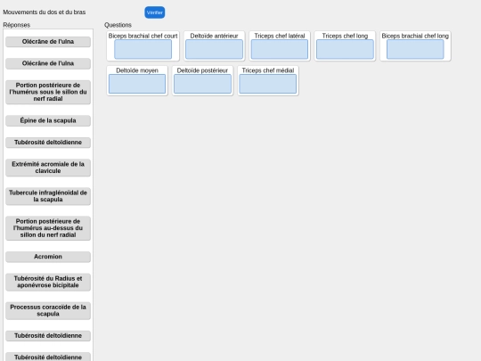 muscles/bras_attaches screenshot