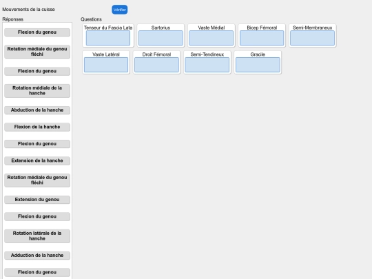 muscles/cuisse_mouvements screenshot