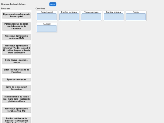 muscles/dos_attaches screenshot