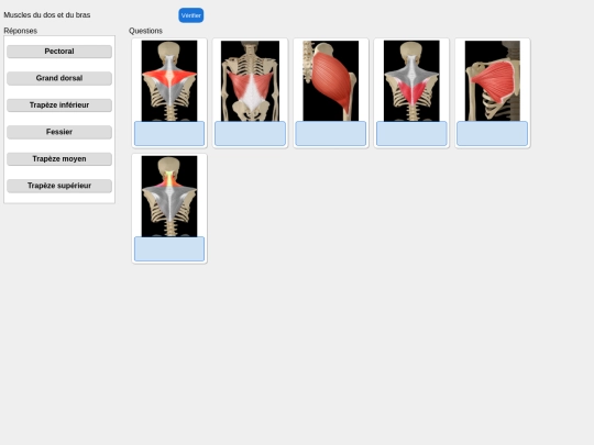 muscles/dosbras screenshot