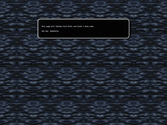 birdies screenshot