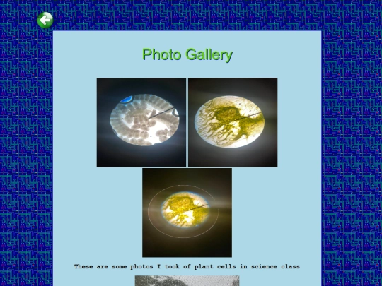 Photos screenshot
