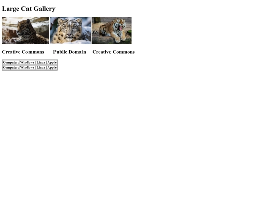 gallery screenshot