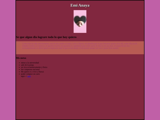emibichota/metas screenshot