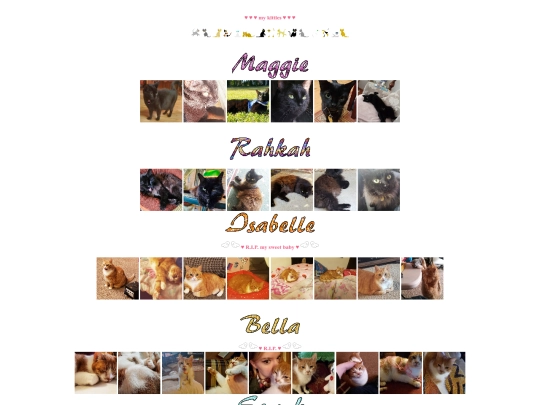 pages/cats screenshot