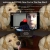 NOW YOU'RE THE DOG MAN!!!!!!! avatar