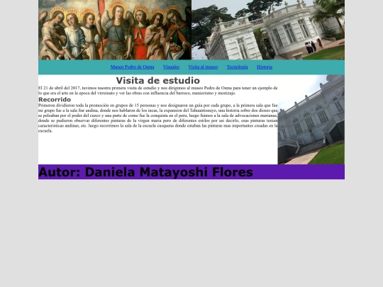 visita screenshot