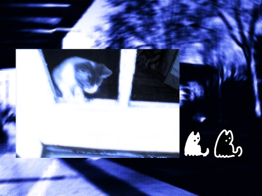 images screenshot
