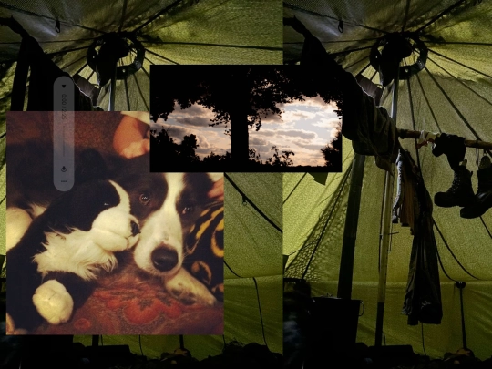 tent screenshot