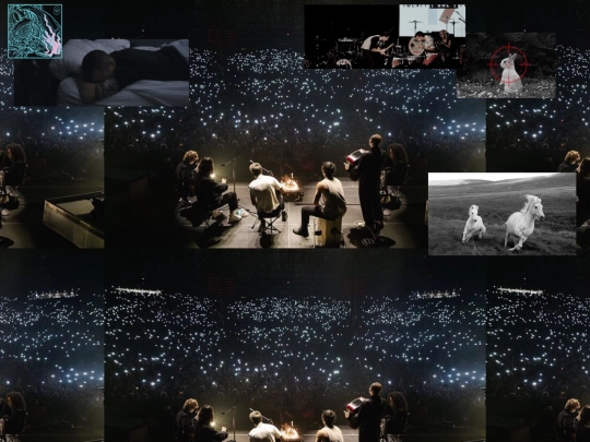 vaqewiybueoe screenshot