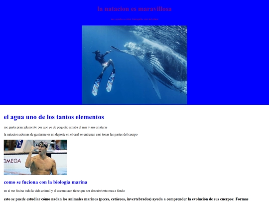 EXAMENBIMESTRAL screenshot