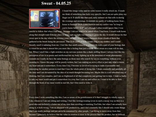 BLOGS/040525 screenshot