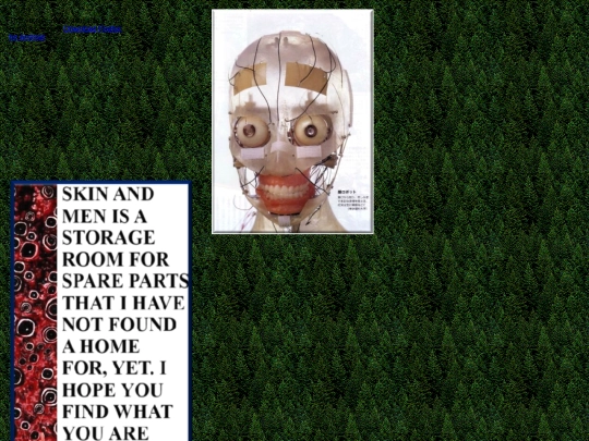 test pages/testhomepage screenshot