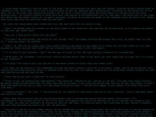 stories/meeting screenshot