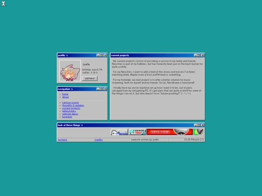 projects screenshot