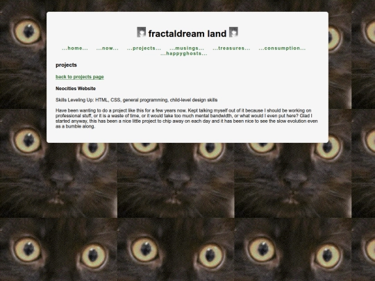 projects/neocities_website screenshot