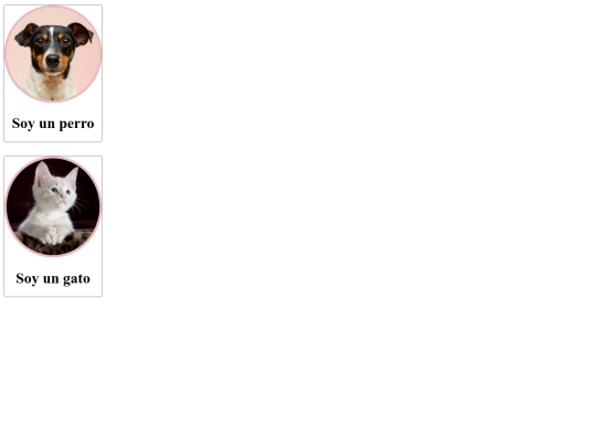 actividad_3/soy_un_perro screenshot