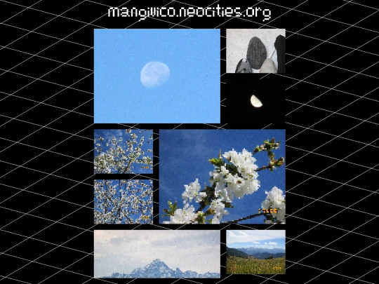 gallery screenshot