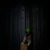 The Dark Forest avatar
