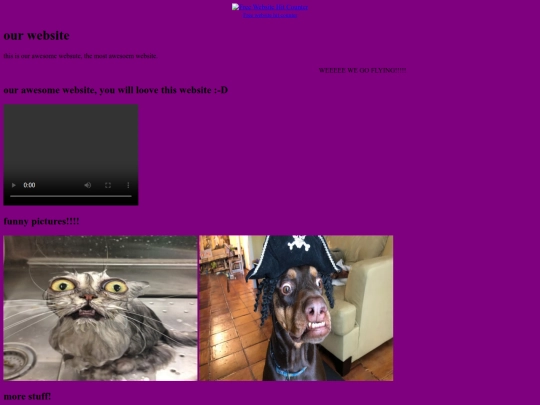 meandmymomswebsite screenshot