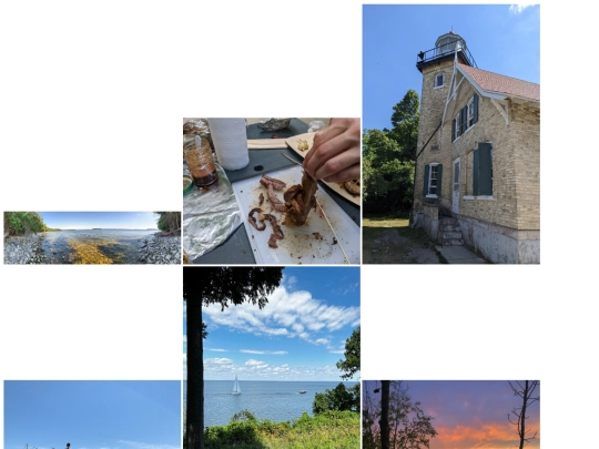 pics screenshot