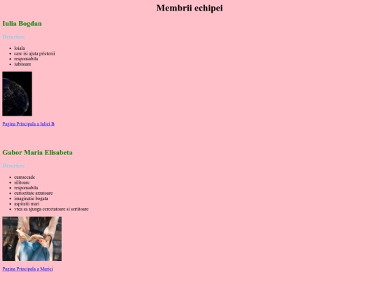Membrii echipei screenshot