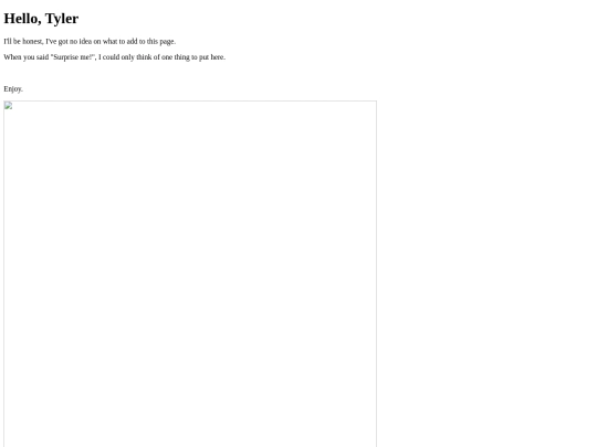 tyler screenshot