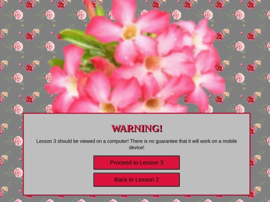 html_lessons/l003_splash screenshot