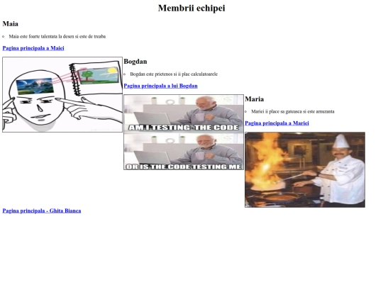 membriiechipei screenshot