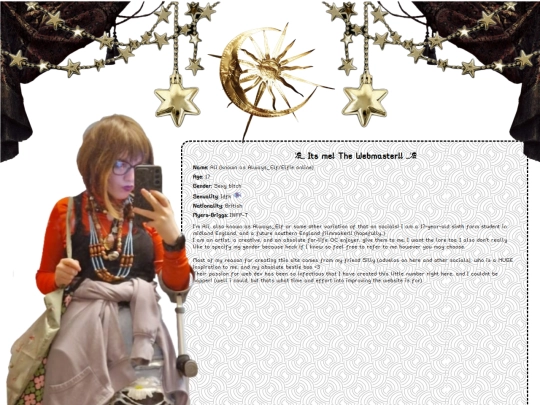 pages/aboutmewebmaster screenshot