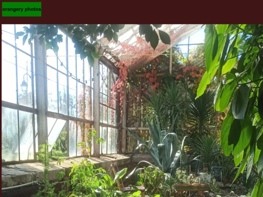 orangery screenshot