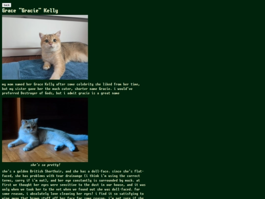 blog/gracie screenshot