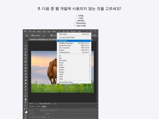 quiz9 screenshot