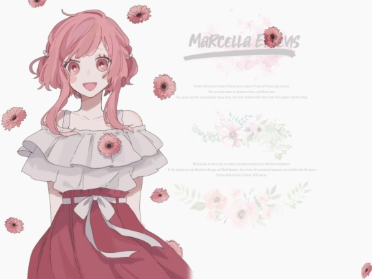 Profiles/Petrakis Family/Retainers/Marcella screenshot