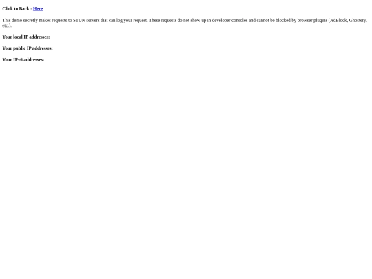 ipchecker screenshot
