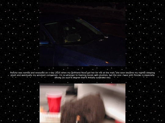 pages/poncho2 screenshot