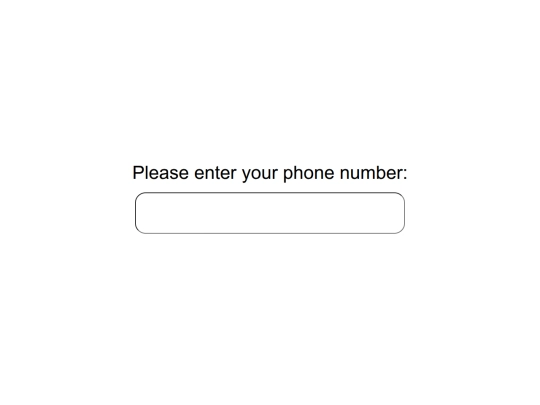 CIT151 Week 9/Week 9 - Chapter 28 RegEx in JS screenshot