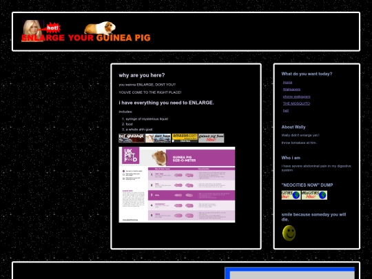 enlarger screenshot