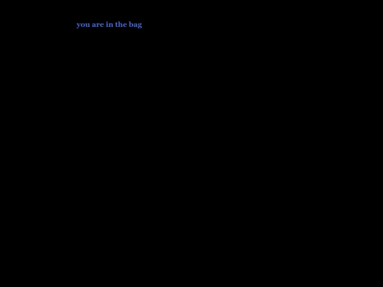 twine_games/bag simulator 2020 screenshot