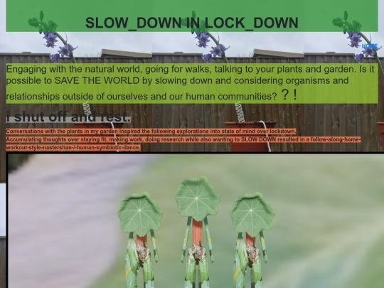 lockdown2 screenshot