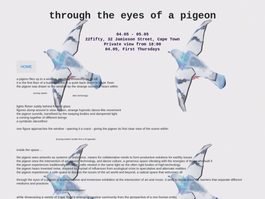 throughtheeyesofapigeon screenshot