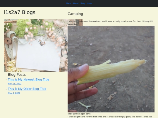 blog screenshot