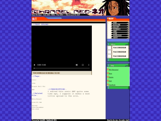 Webpages/video screenshot