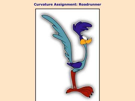 RoadrunnerProcess screenshot