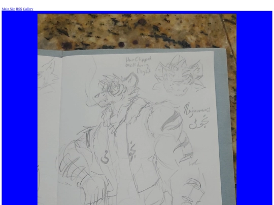 gallery/pieces/nujuumiisketchbook screenshot